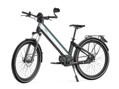Level 3 ebike sale